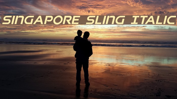 Singapore Sling Italic Example 2