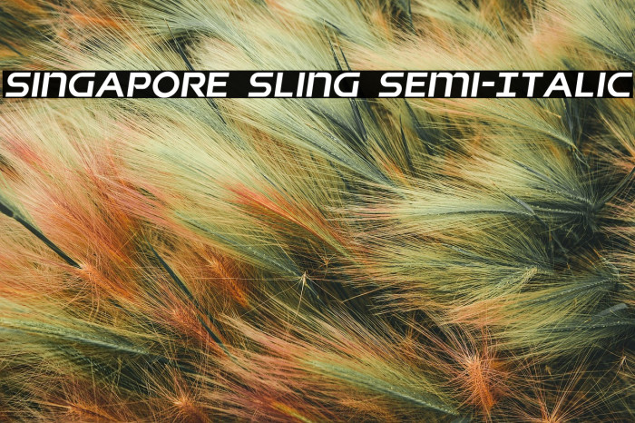 Singapore Sling Semi-Italic Example 3