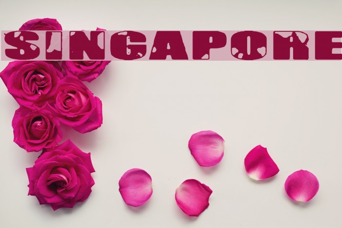 Singapore Font examples