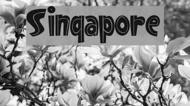 Singapore Font examples