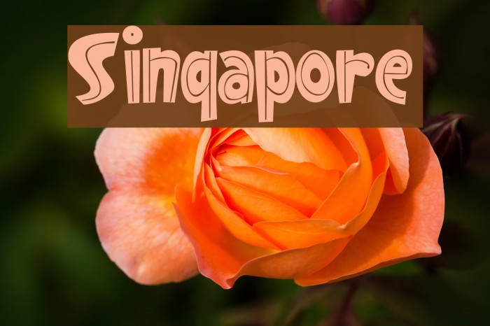 Singapore Example 3