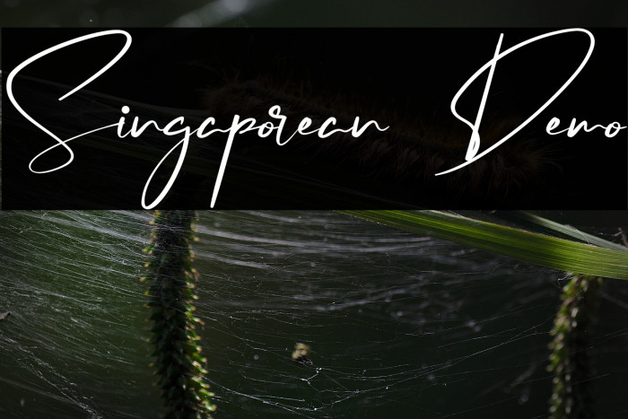 Singaporean Demo Example 1