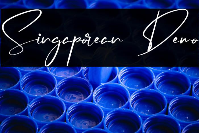 Singaporean Demo Example 3
