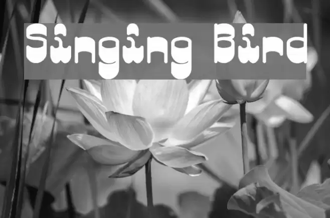 Singing Bird Font examples