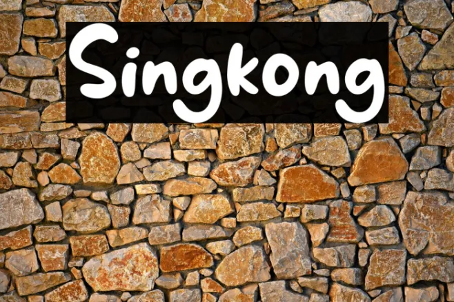 Singkong Example 2