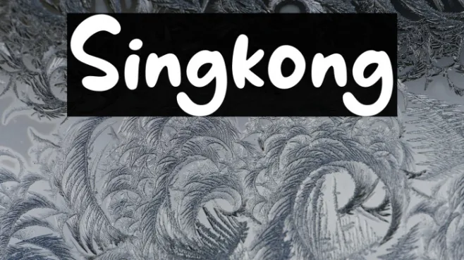 Singkong Example 3
