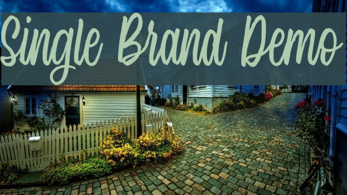 Single Brand Demo Font examples