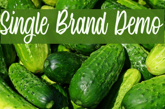 Single Brand Demo Font examples