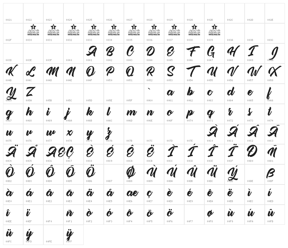 Single Case Personal Use Character Map