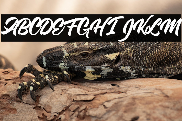 Single Case Personal Use Example 1