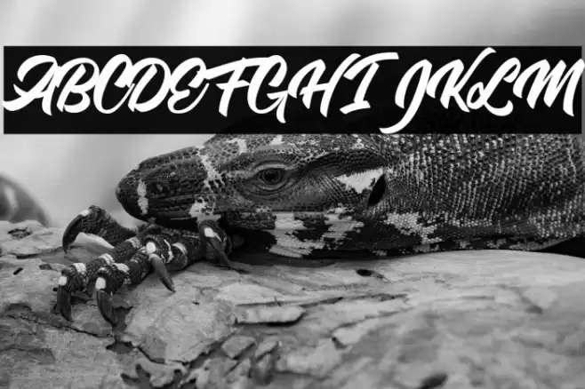 Single Case Personal Use Font examples