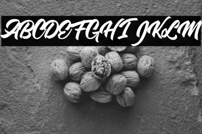 Single Case Personal Use Font examples