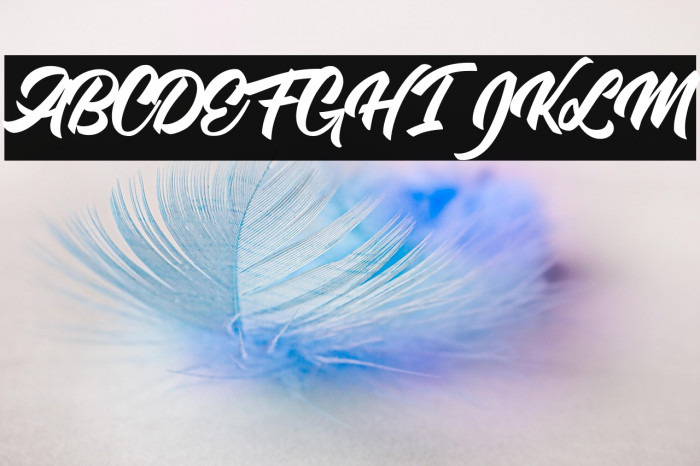 Single Case Personal Use Example 3