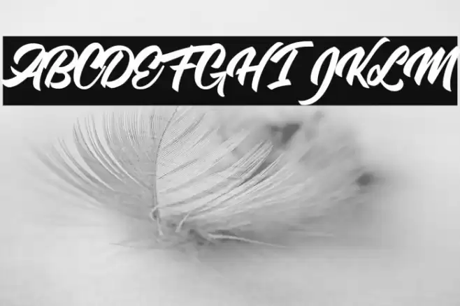 Single Case Personal Use Font examples