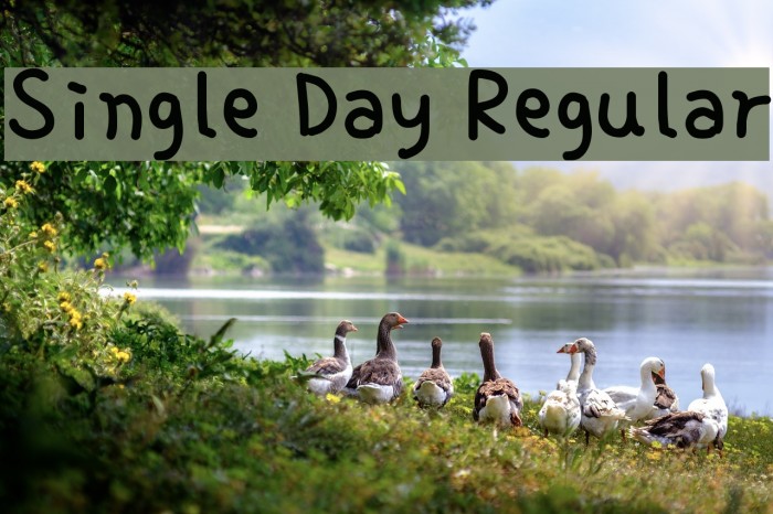 Single Day Regular Font examples