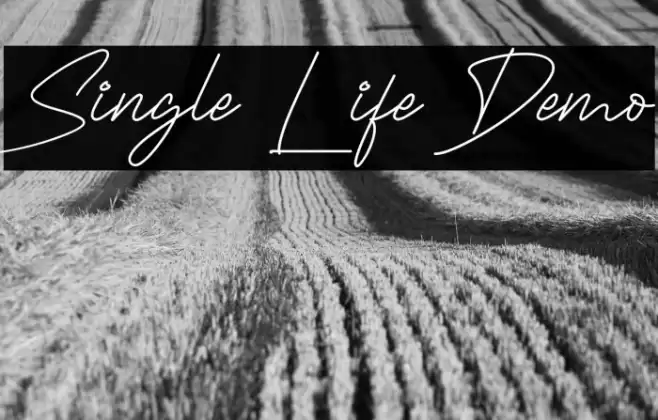 Single Life Demo Font examples