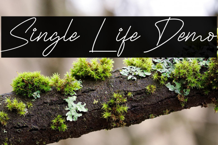 Single Life Demo Example 3