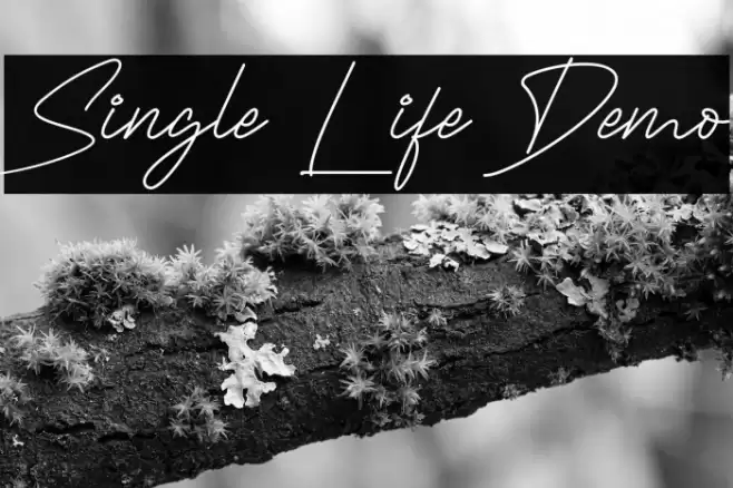 Single Life Demo Font examples
