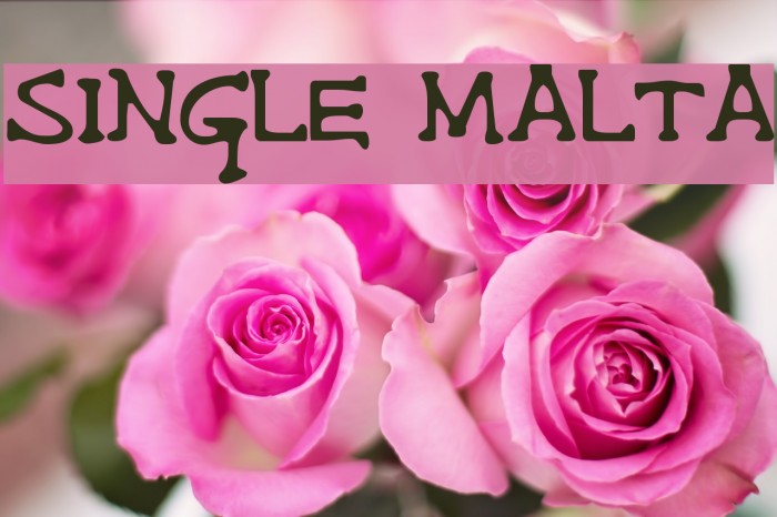 Single Malta Example 3