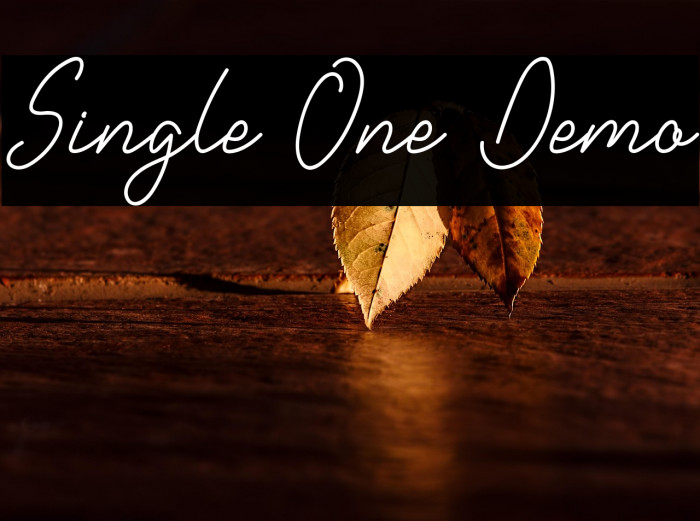 Single One Demo Example 3