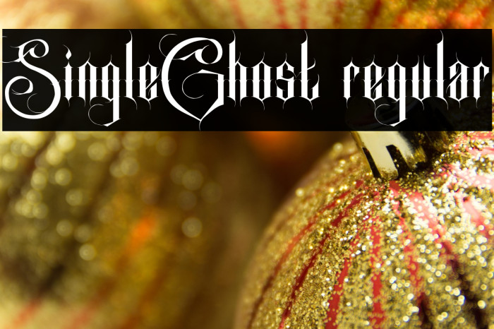 SingleGhost regular Example 1