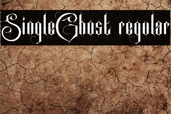 SingleGhost regular Example 2