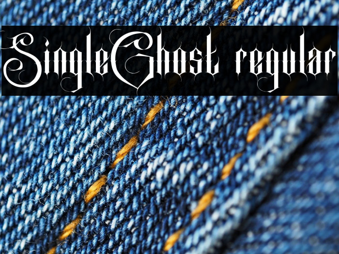 SingleGhost regular Example 3