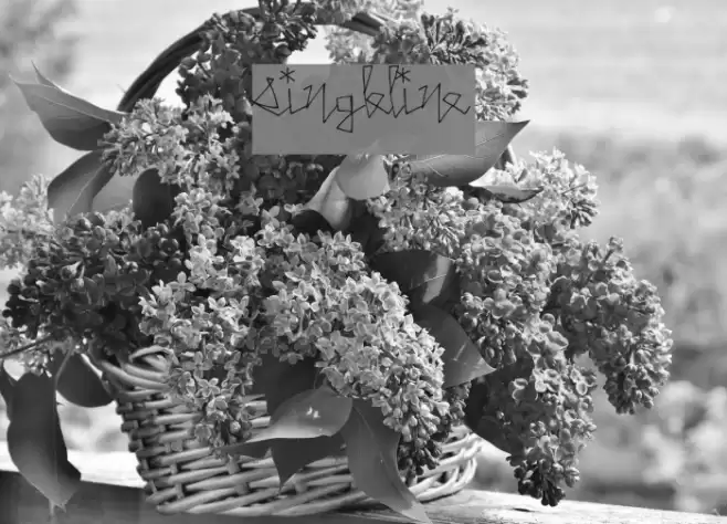 SingleLine Font examples