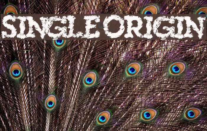 SingleOrigin Font examples