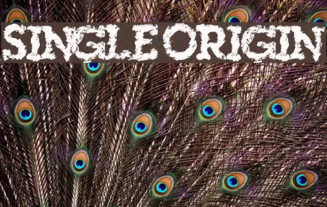 SingleOrigin Example 1