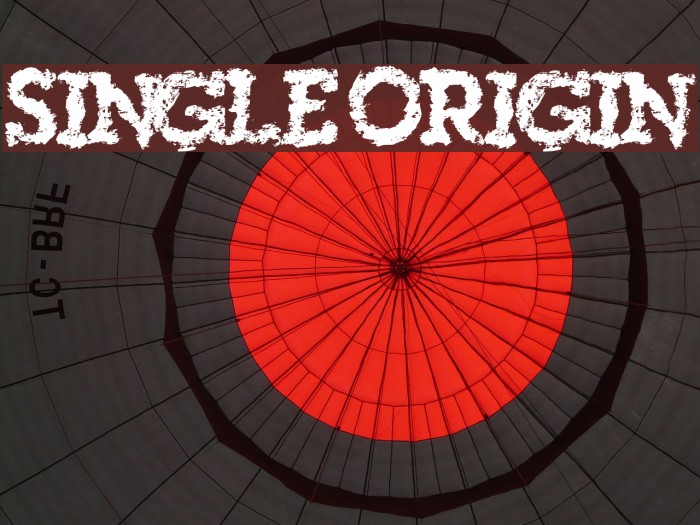 SingleOrigin Font examples
