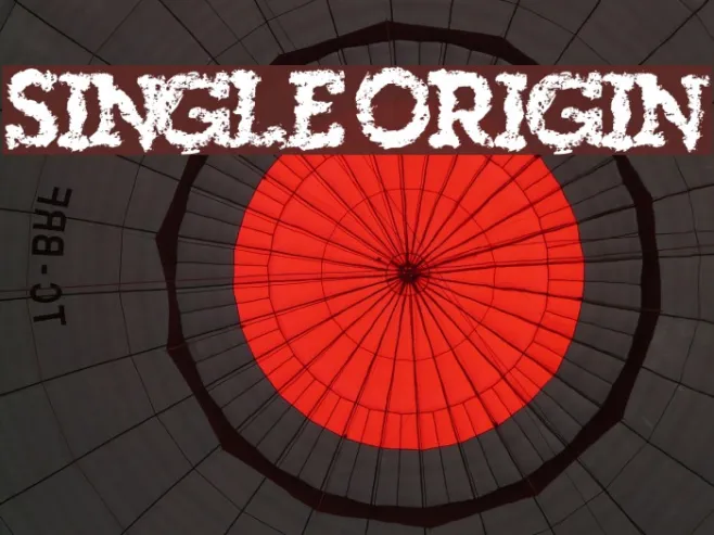 SingleOrigin Example 2
