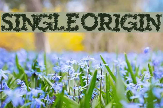 SingleOrigin Example 3