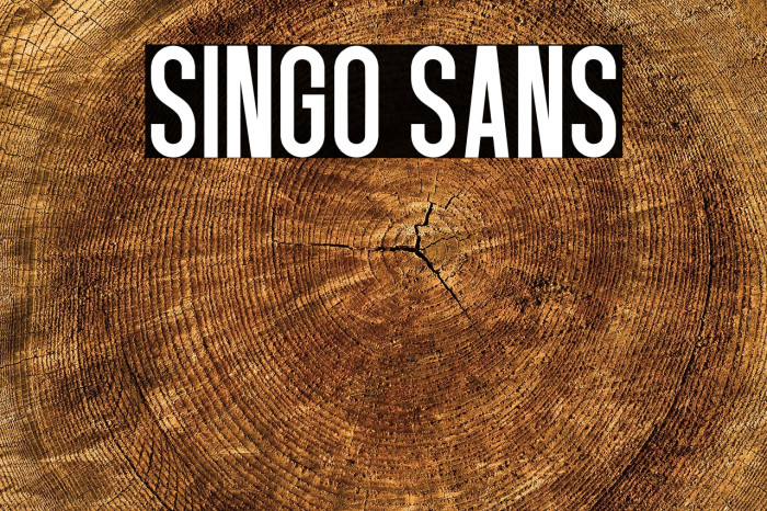 Singo Sans Example 1