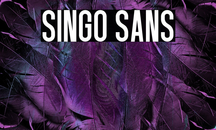 Singo Sans Example 2