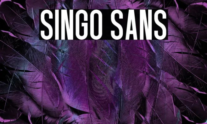 Singo Sans Example 2