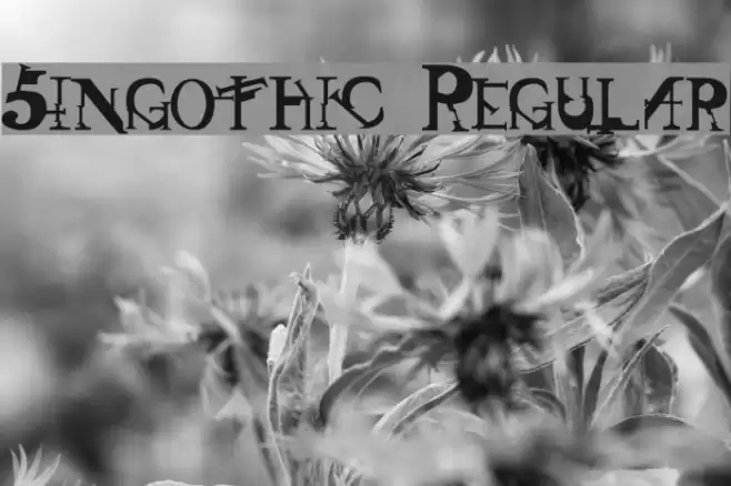 Singothic Regular Font examples