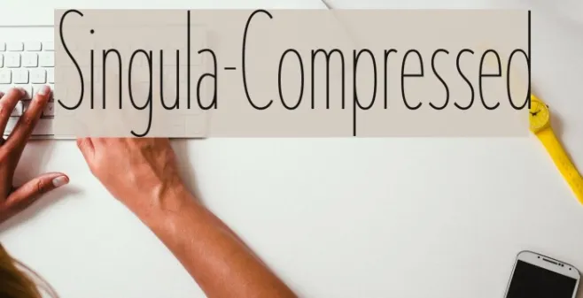 Singula-Compressed Example 1