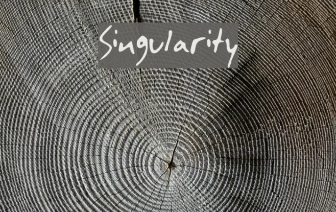 Singularity Example 2
