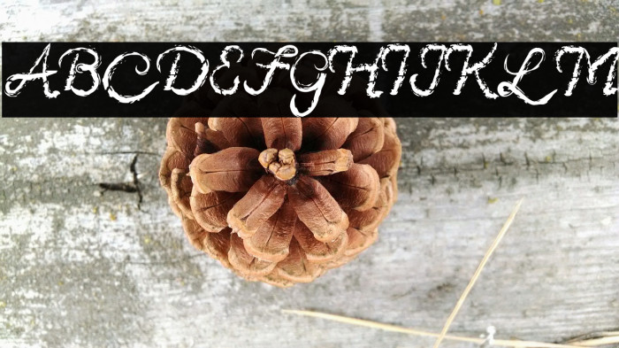 Sinister Brush Font Font examples