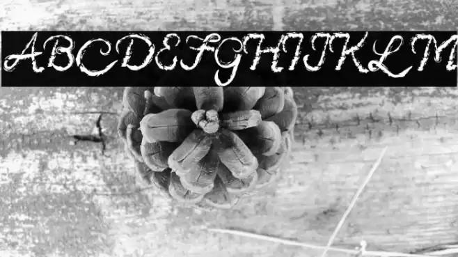 Sinister Brush Font Fuentes examples