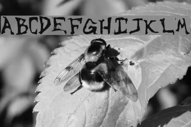 Sinister-Plot Font examples