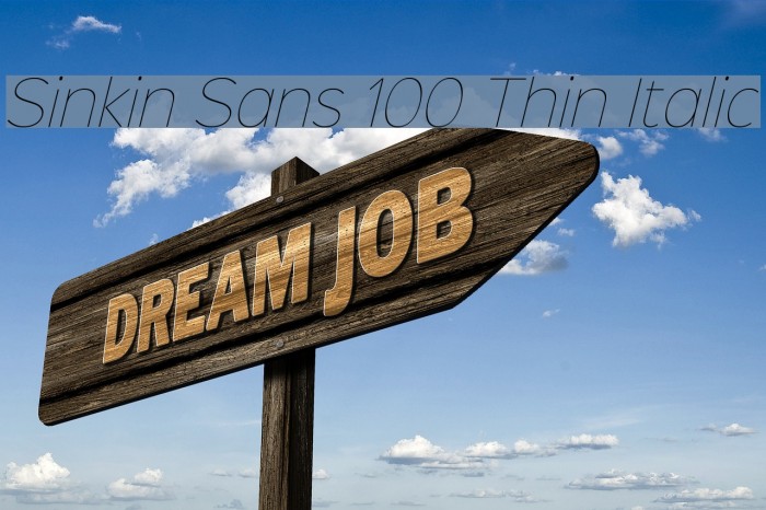 Sinkin Sans 100 Thin Italic Example 1