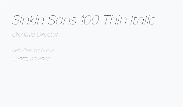 Sinkin Sans 100 Thin Italic Business Card
