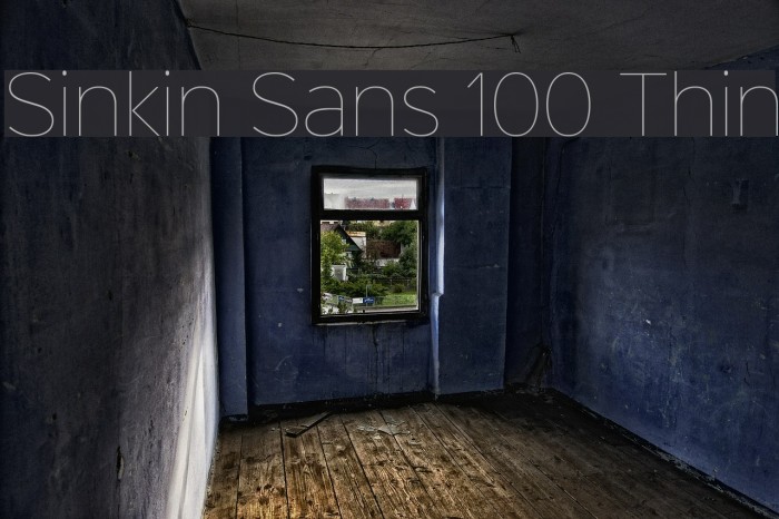 Sinkin Sans 100 Thin Font examples