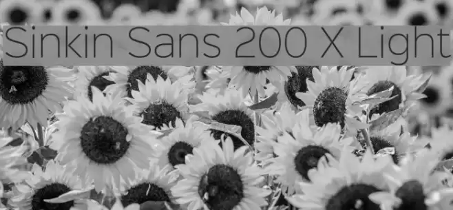 Sinkin Sans 200 X Light Font examples