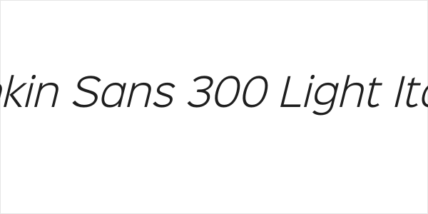 Sinkin Sans 300 Light Italic Logo