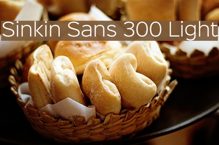 Sinkin Sans 300 Light Font examples