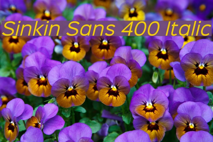 Sinkin Sans 400 Italic Example 3