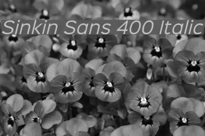 Sinkin Sans 400 Italic Font examples